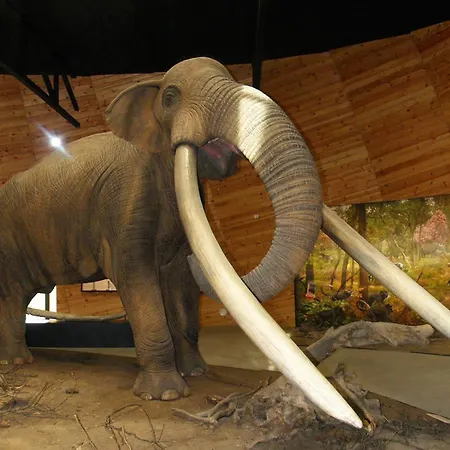 Appartement Barcelo Velingrad